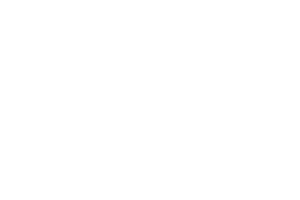 ReingardTrippWandaller
